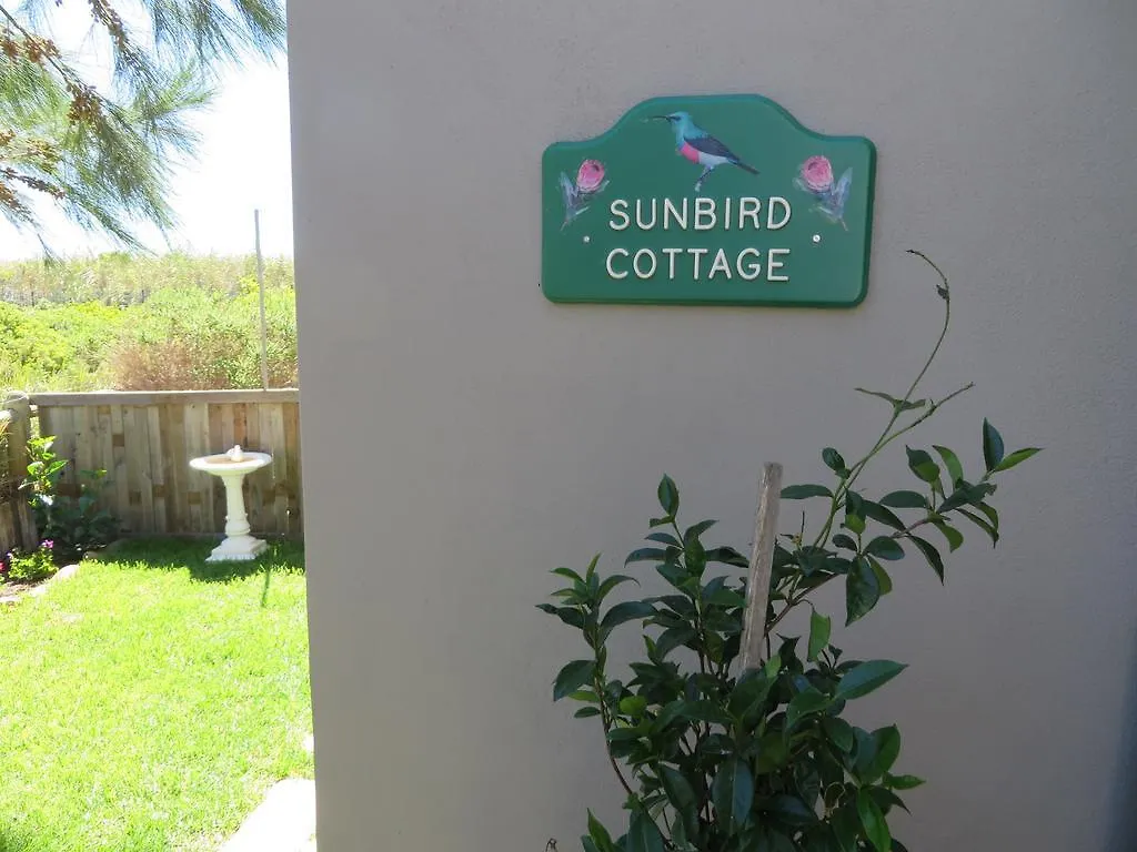 Ferienhaus Sunbird Cottage Noordhoek